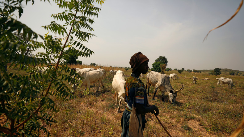 Covid-19 : l'Afrique de l'Ouest et le Sahel tentent d'éviter une crise laitière venue d'Europe