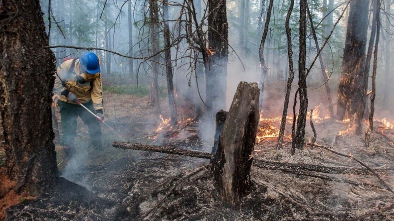 Réchauffement climatique : les feux de forêt ravagent l'Arctique russe