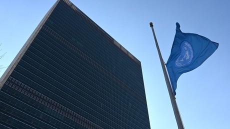Les pays africains demandent un débat sur le racisme au Conseil des droits de l'homme de l'ONU