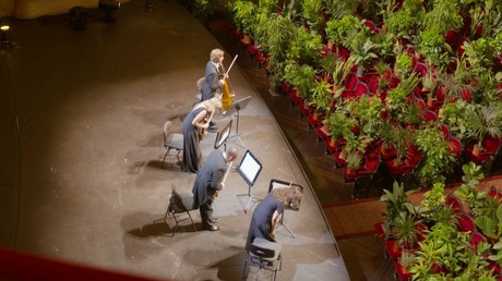 Quatuor à cordes pour public feuillu à l'Opéra de Barcelone