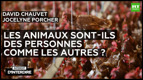 Interdit d'interdire - Les animaux sont-ils des personnes comme les autres ?