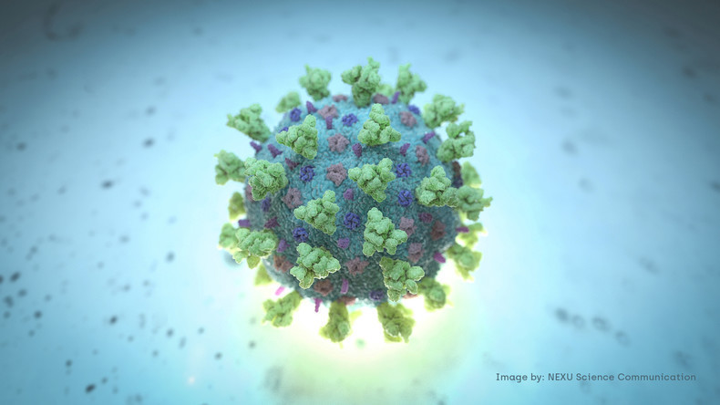 Coronavirus : 19 millions de contaminations dans le monde, l'Afrique franchit la barre du million