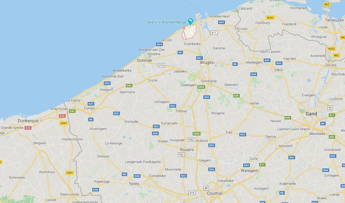Belgique : après une émeute sur une plage, des maires interdisent les «touristes d'une journée»