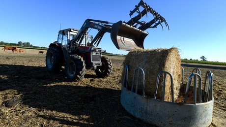 «Elevage=nazisme» : l'exploitation d'un représentant syndical agricole vandalisée dans le Finistère