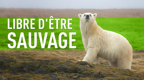 Libre d'être sauvage