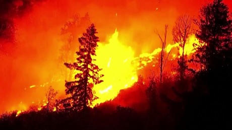 «Le ciel tourne à l'orange» : des feux de forêt ravagent l’Ouest des Etats-Unis