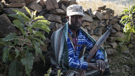 «Une guerre dévastatrice pour les deux camps» : lancement d'une opération militaire en Ethiopie
