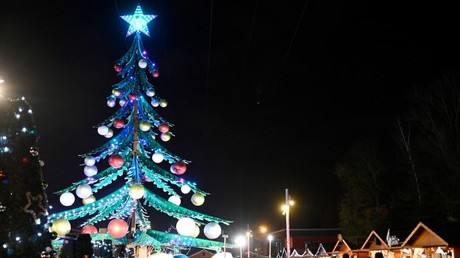 Cliché pris lors d'un marché de Noël à Amnéville-les-Thermes, le 10 décembre 2020, en Moselle (image d'illustration).
