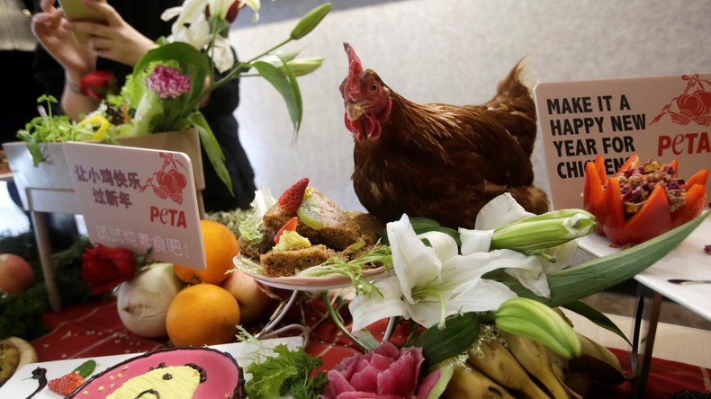 «Porc», «serpent», «rat», «poule mouillée» : Peta veut faire stopper les insultes animalières