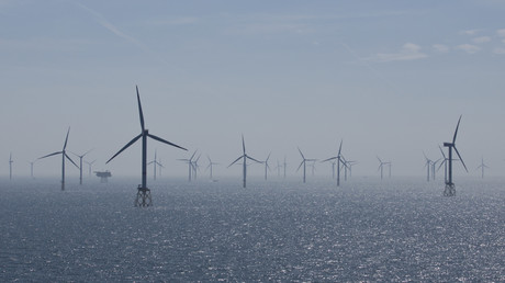 Des éoliennes offshore au large de l'Allemagne, à Heligoland (image d'illustration).