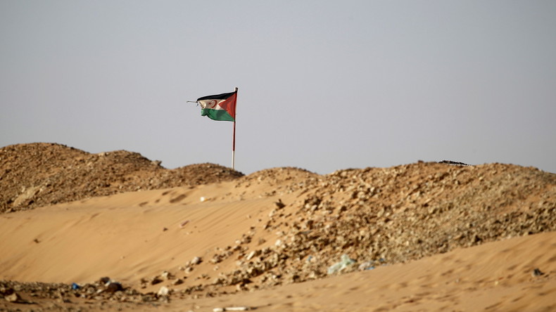 «Pillage des ressources naturelles» : le Polisario conteste des accords UE-Maroc devant la CJUE