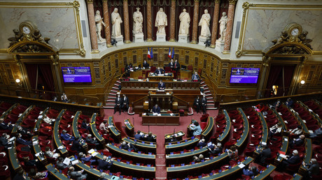 Dans l'hémicycle du Sénat français, le 17 décembre 2020 (photo d'illustration).