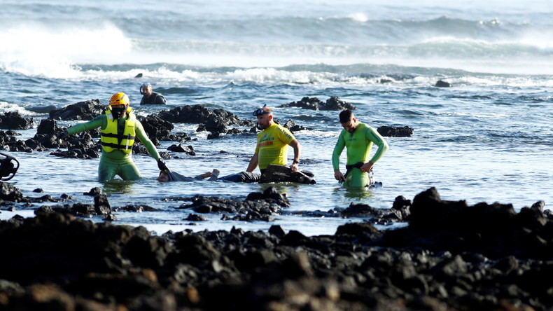 Jetés à la mer par des passeurs, au moins 20 migrants meurent noyés dans le Golfe d’Aden