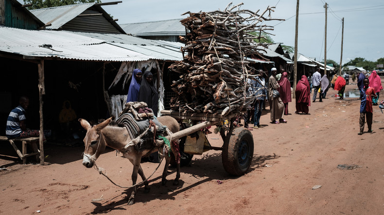 Le Kenya ordonne la fermeture de camps abritant près d'un demi-million de réfugiés