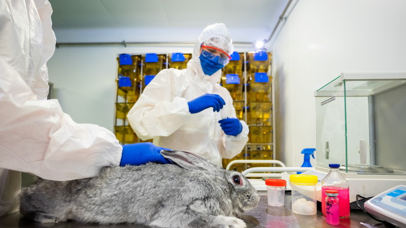 Covid-19 : la Russie enregistre le premier vaccin au monde pour les animaux