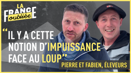 La France oubliée - Face au loup, l’impuissance des éleveurs de Haute-Savoie
