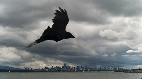 Les corbeaux croassent, la caravane passe