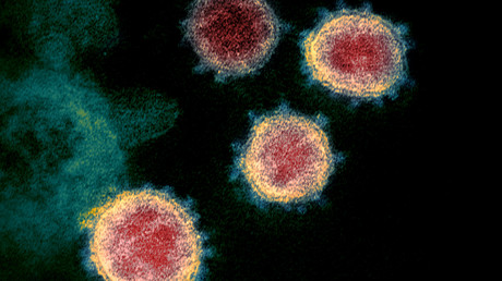 Covid-19 : découverte de «recombinants» générés par la rencontre entre deux variants du virus