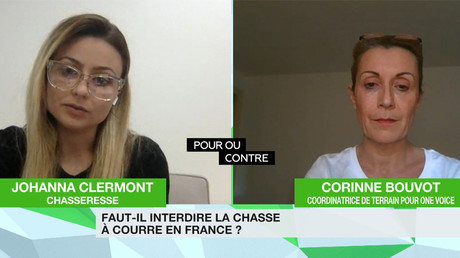 Pour ou contre : Faut-il interdire la chasse à courre en France ? (DEBAT)