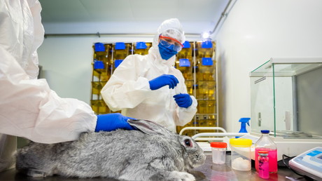 Covid-19 : la Russie enregistre le premier vaccin au monde pour les animaux