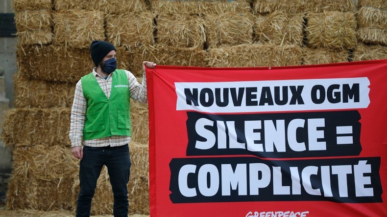 OGM : des militants de Greenpeace déversent des bottes de foin devant le ministère de l'Ecologie