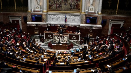 Des députés de gauche saisissent le Conseil constitutionnel concernant la loi Sécurité globale
