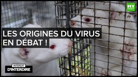 Interdit d'interdire - Les origines du virus en débat !
