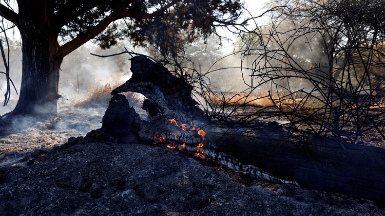 Israël mène des frappes aériennes sur la bande de Gaza