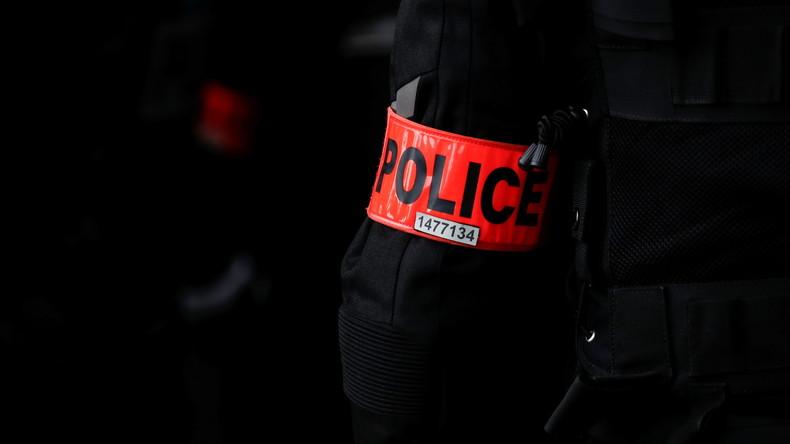 Versailles : des chiens policiers déployés pour disperser les jeunes fêtards d'une soirée «Projet X»