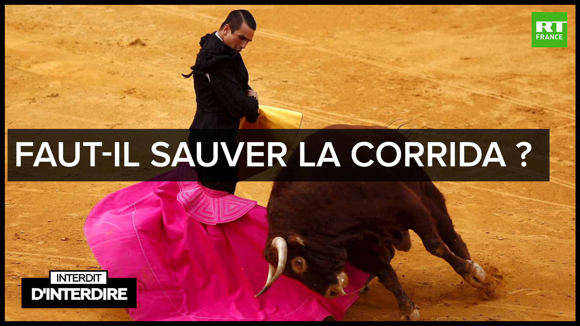 Interdit Dinterdire Faut Il Sauver La Corrida — Rt En Français 4581