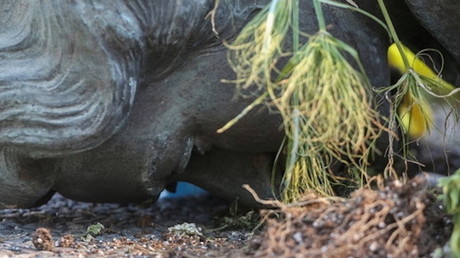 Canada : des statues des reines Victoria et Elizabeth II déboulonnées, Trudeau condamne (VIDEOS)