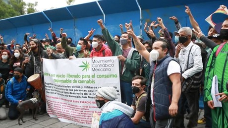 Mexique : ils fument un joint pour célébrer la dépénalisation de l'usage récréatif du cannabis