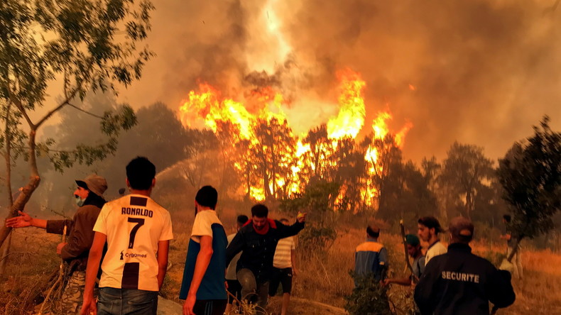 Alger accuse le Maroc d'être impliqué dans les incendies qui ont ravagé la Kabylie