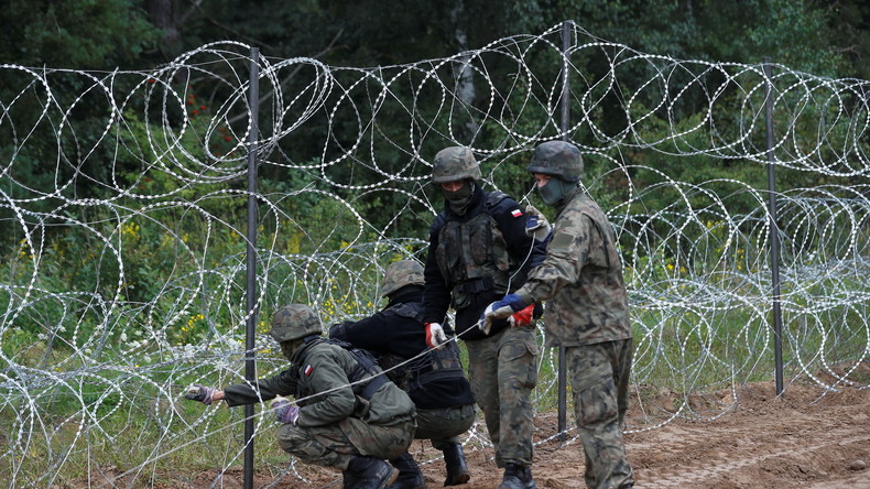 La Pologne installe une clôture en barbelés anti-migrants