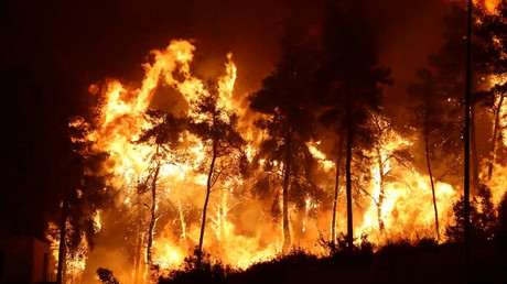 Grèce : lutte contre les incendies de forêt dévastateurs sur l'île d'Eubée et à Varympompi
