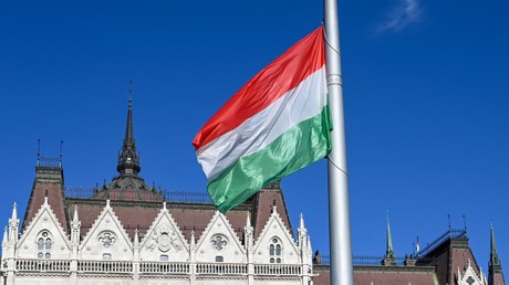 Sommet de Budapest : «L’évolution démographique est une question centrale dans la politique»