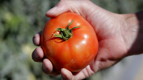 Nancy : prison ferme pour le manifestant anti-pass qui a jeté des tomates et un pétard sur la police