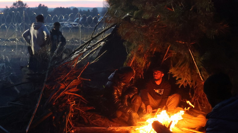 Migrants à la frontière biélorusso-polonaise : pour Paris, Moscou peut «aider à arrêter ce trafic»