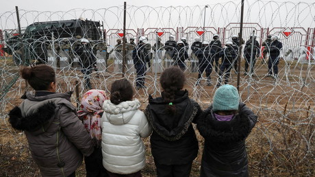 De jeunes migrants devant les barbelés de la frontière entre la Pologne et la Biélorussie (image d'illustration du 17 novembre)