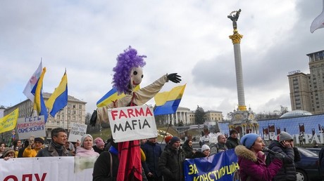 Week-end de mobilisations contre les restrictions sanitaires à travers le monde (VIDEOS)