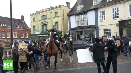 Royaume-Uni : des militants des droits des animaux tentent d'interrompre une chasse à courre (VIDEO)