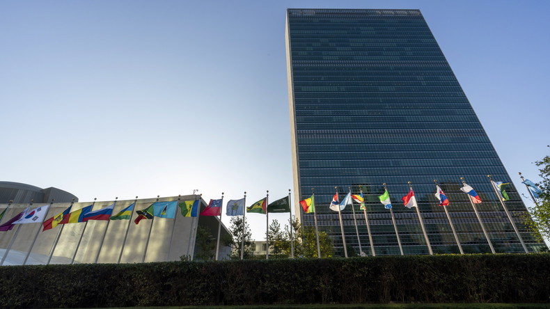 Les drapeaux des Etats membres flottent devant le siège des Nations Unies au siège des Nations Unies à New York