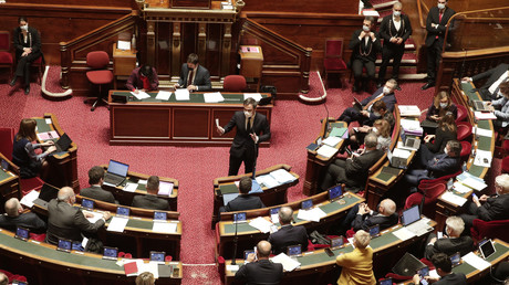 Les débats au Sénat le 11 janvier 2021 (image d'illustration).
