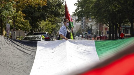 Une manifestante porte le drapeau palestinien lors d'une manifestation devant la Maison Blanche