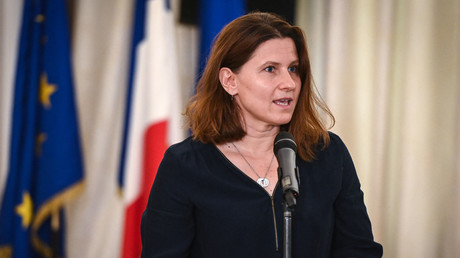 La ministre déléguée chargée des Sports, Roxana Maracineanu