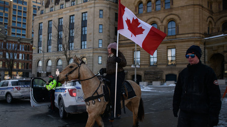 Un manifestant devant le Parlement du Canada à Ottawa, dans l'Ontario, le 13 février 2022 (image d'illustration).