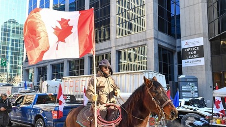 Un manifestant canadien à cheval