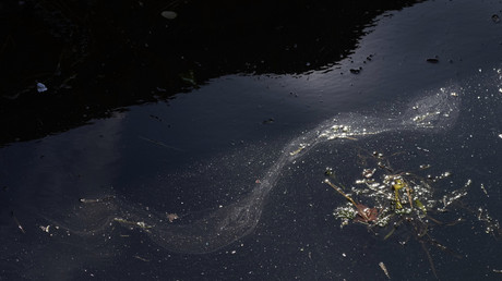 pollution des eaux dans la Seine à Paris