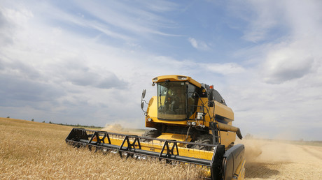 Le prix du blé s'est envolé en raison du conflit entre l'Ukraine et la Russie (image d'illustration).