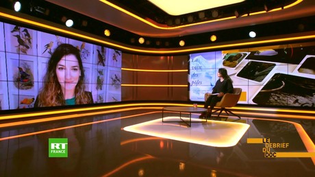 Le Debrief du Doc  - Un hiver en Antarctique